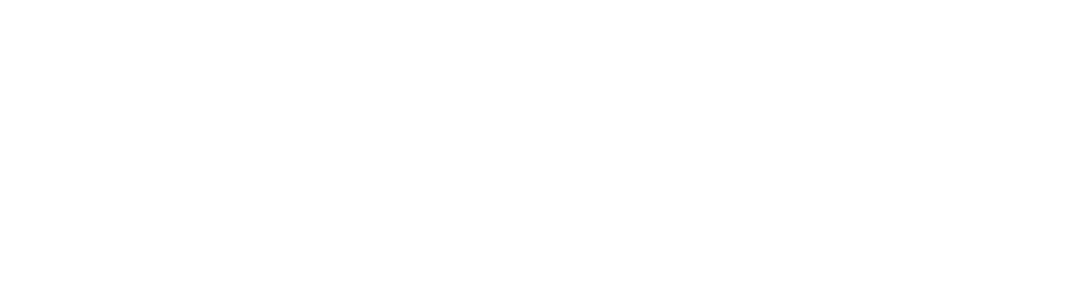 ZNIE Logo
