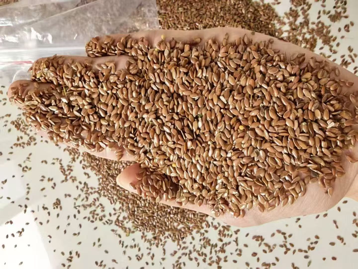 Russian Bulk Grain_copy_copy